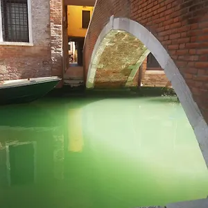Apartment The Secret Garden In The Very Heart Of