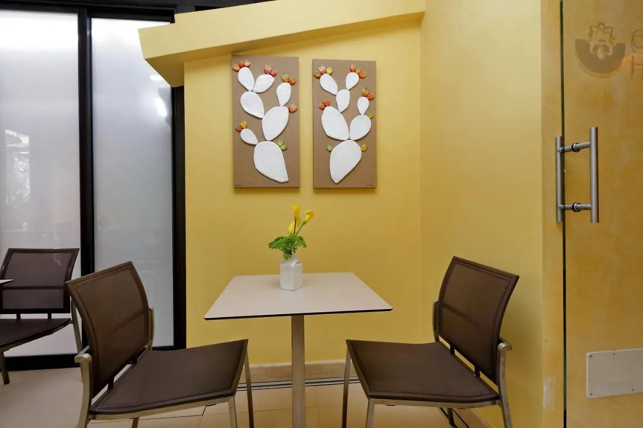 Hotel Camelia Roma